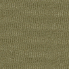 Simplicity - Olive - 2008 - 10