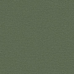 Simplicity - Paris Green - 2008 - 11