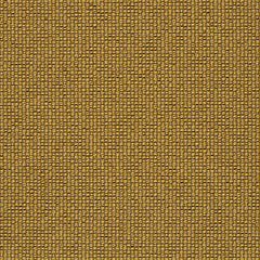 Ample - Charge - 4034 - 17 - Half Yard