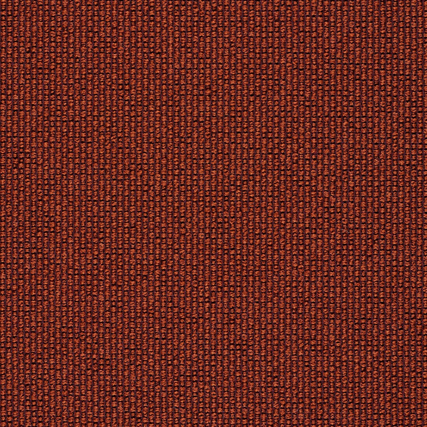 Ample - Conductor - 4034 - 22 - Half Yard