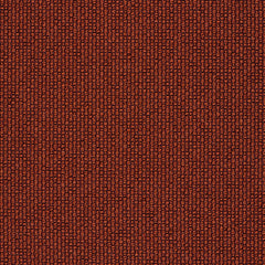 Ample - Conductor - 4034 - 22 - Half Yard