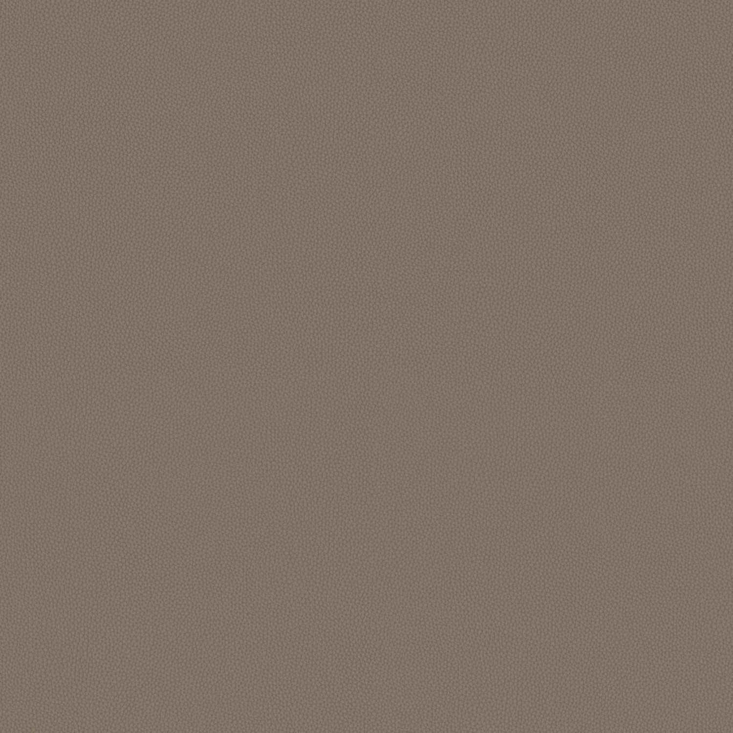 Touch Tone - Fallow - 4117 - 12