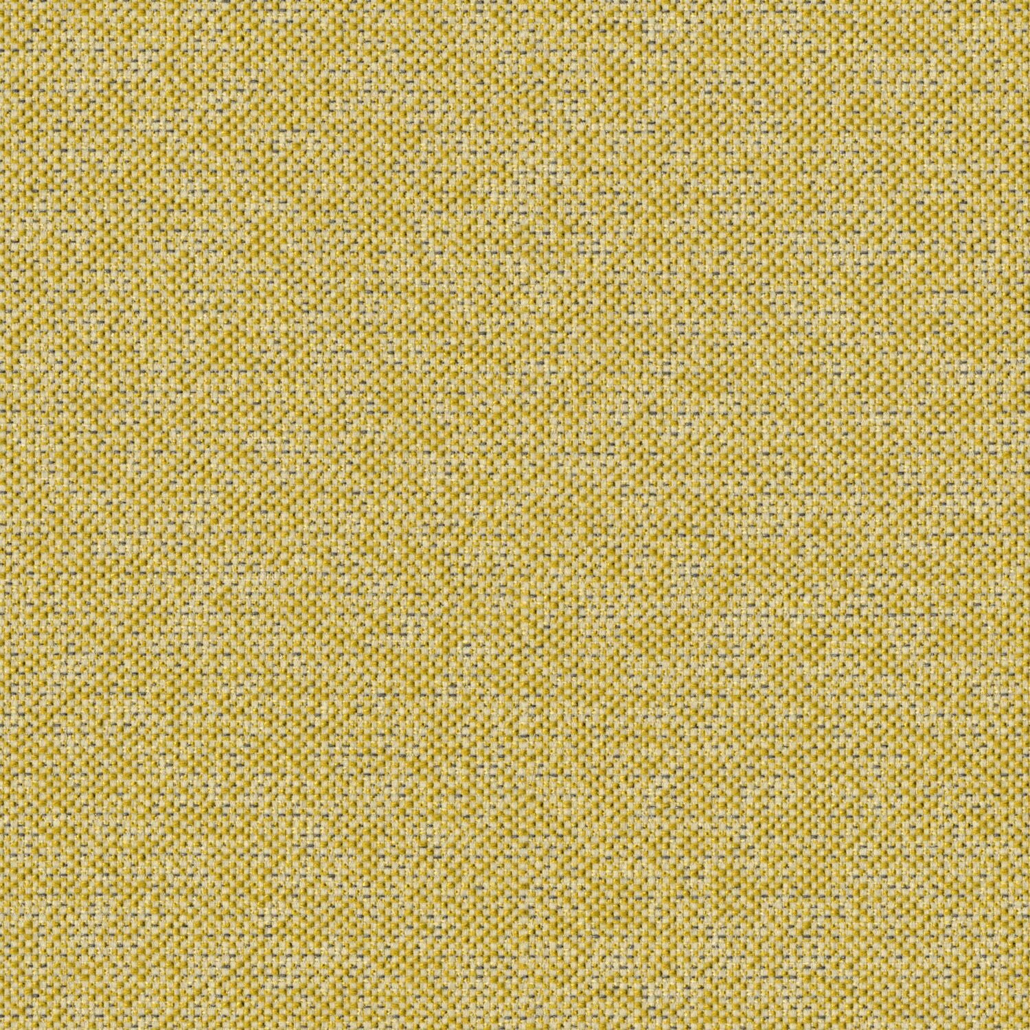 Texture Map - Elm Pollen - 2004 - 10 - Half Yard
