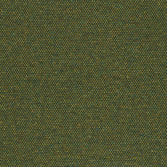 Oeuvre - Flourish - 4077 - 09 - Half Yard