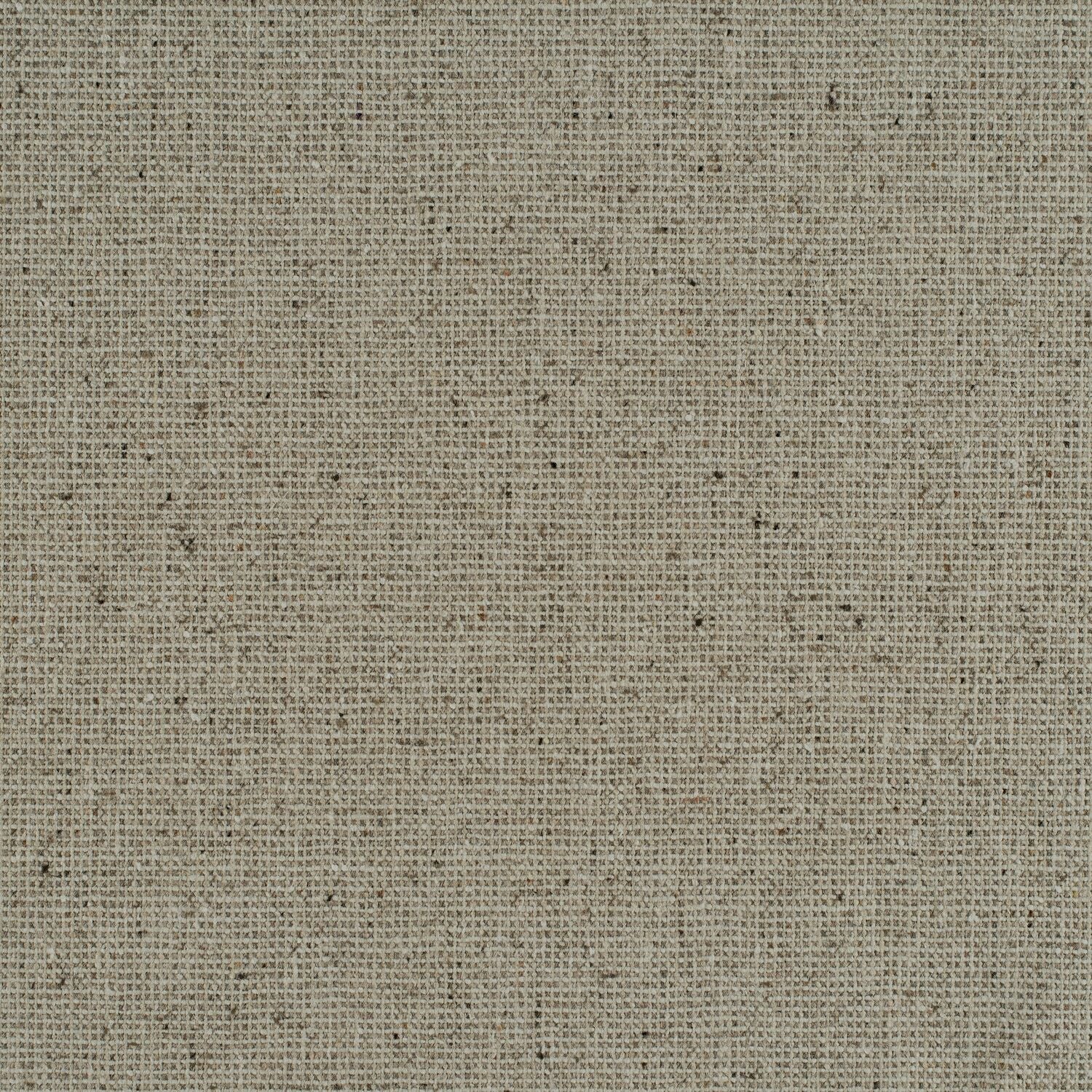 Wool Fleck - Coquina - 4099 - 05