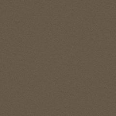 Essentials - Brier - 1006 - 04 - Half Yard