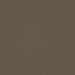 Essentials - Brier - 1006 - 04 - Half Yard