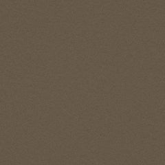 Fundamentals - Brier - 4001 - 04 - Half Yard