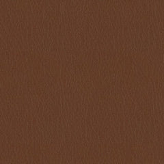 Fortis - Canyon - 4025 - 01 - Half Yard