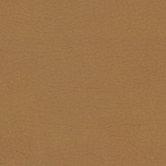 Fortis - Nugget - 4025 - 05 - Half Yard