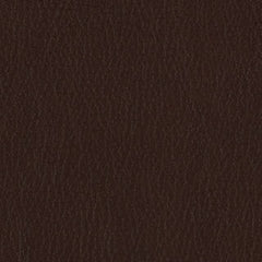 Fortis - Terra - 4025 - 04 - Half Yard