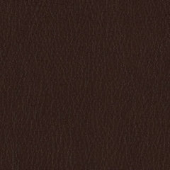 Fortis - Terra - 4025 - 04 - Half Yard