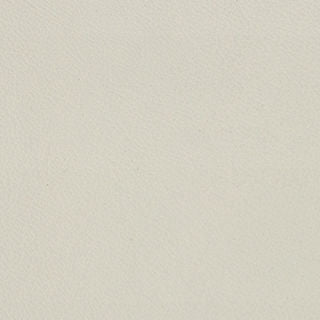 Merus - White Birch - 4023 - 02 - Half Yard