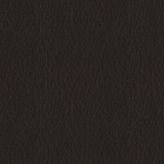 Pela - Pitch - 4024 - 21