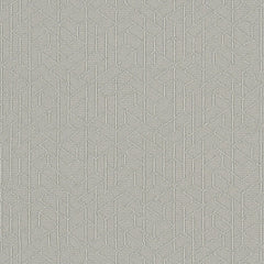 Topology - Shadow - 1011 - 05 - Half Yard