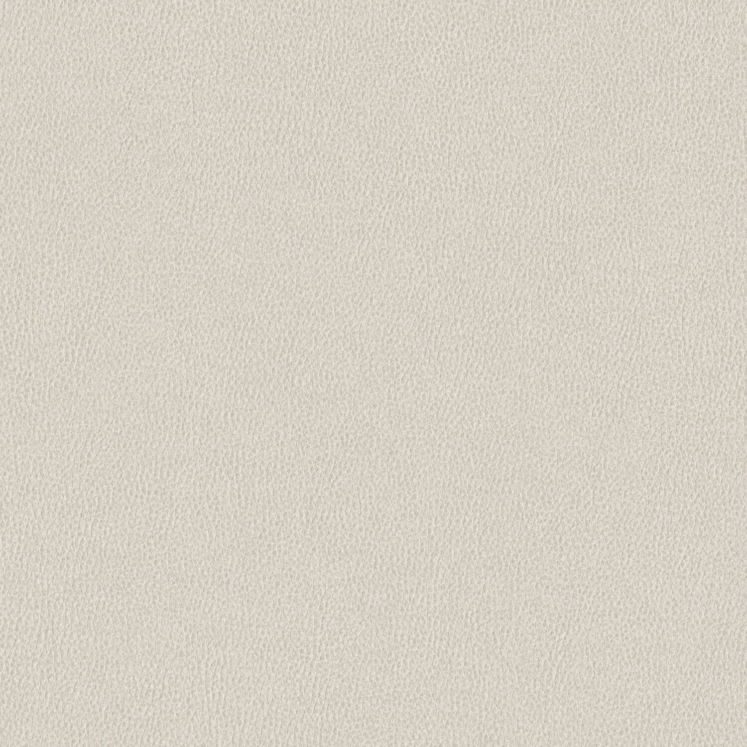 Nomad - Plateau - 4149 - 01 - Half Yard