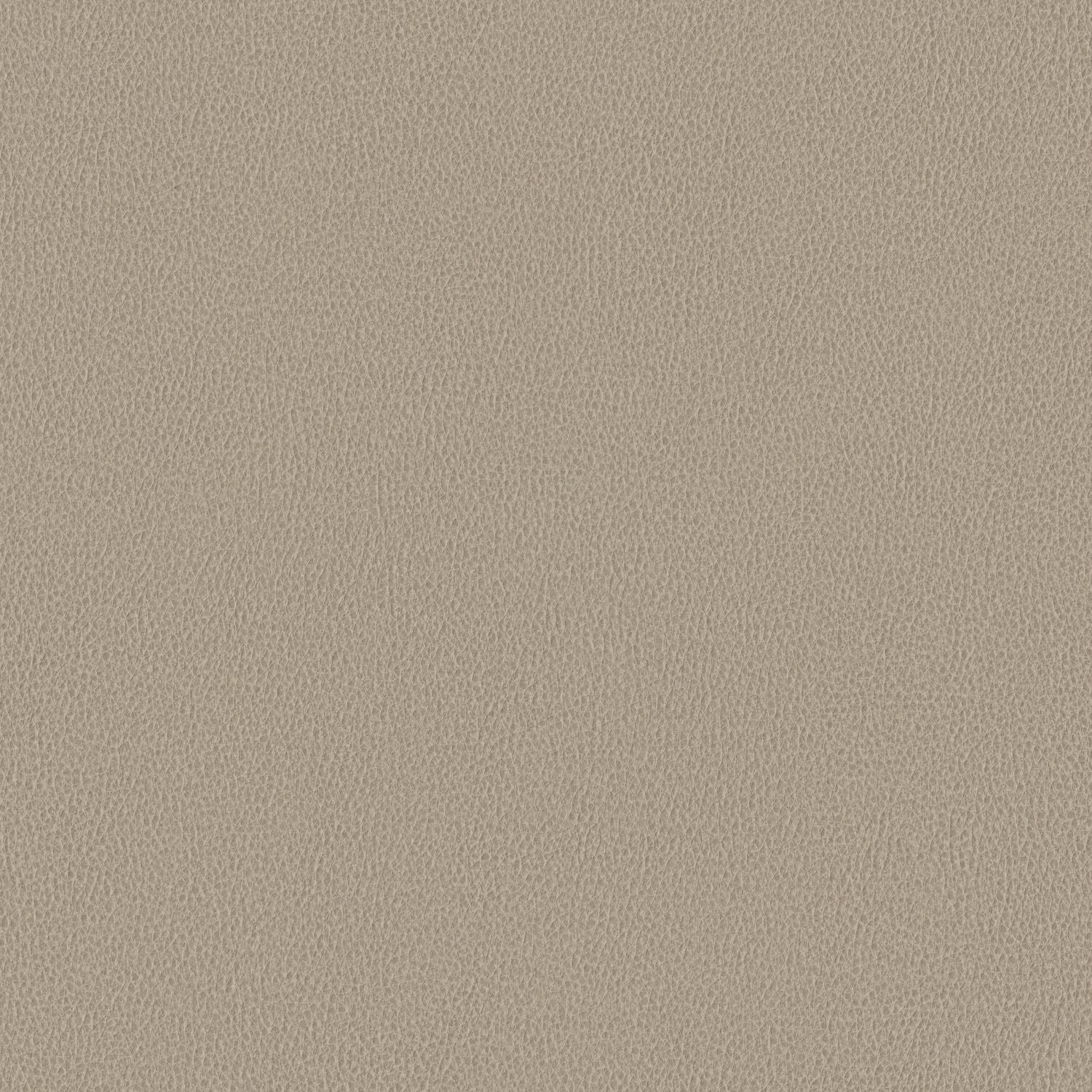 Nomad - Coast - 4149 - 02 - Half Yard