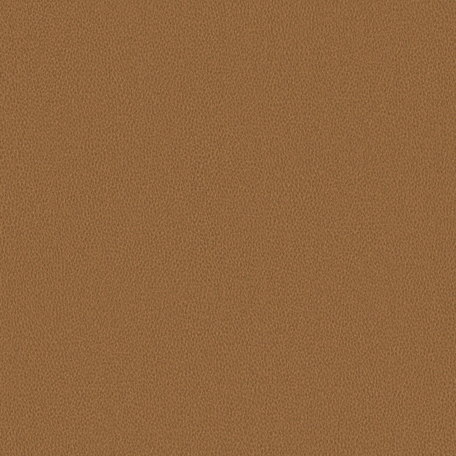 Nomad - Wheat - 4149 - 04 - Half Yard