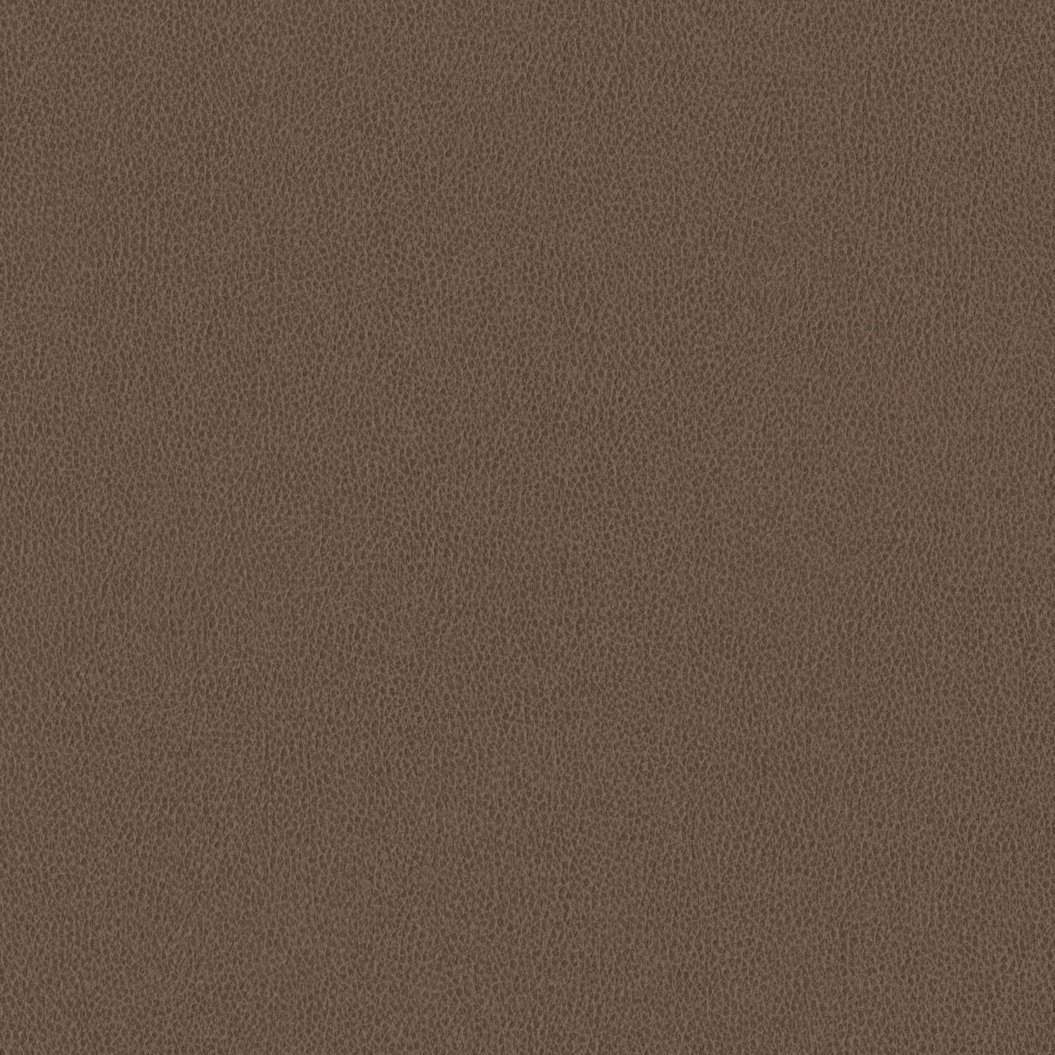 Nomad - Sandstorm - 4149 - 07 - Half Yard