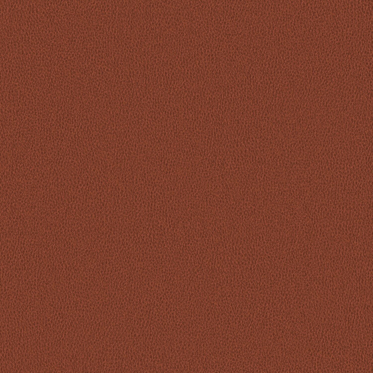 Nomad - Foxtail - 4149 - 08 - Half Yard