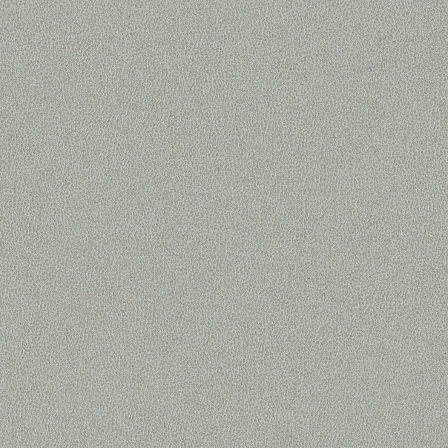 Nomad - Moth - 4149 - 12 - Half Yard