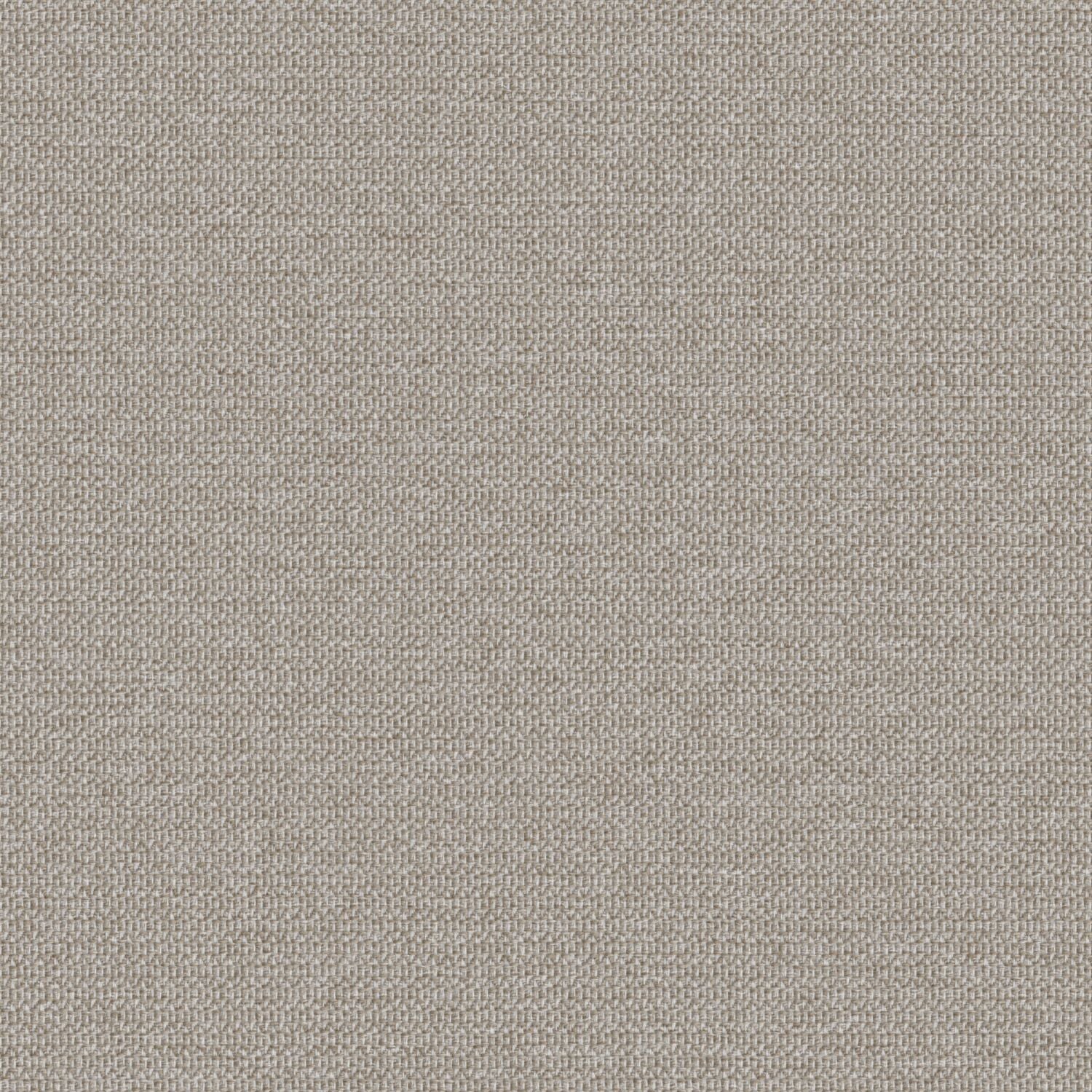 Zippy - Birch - 2014 - 03