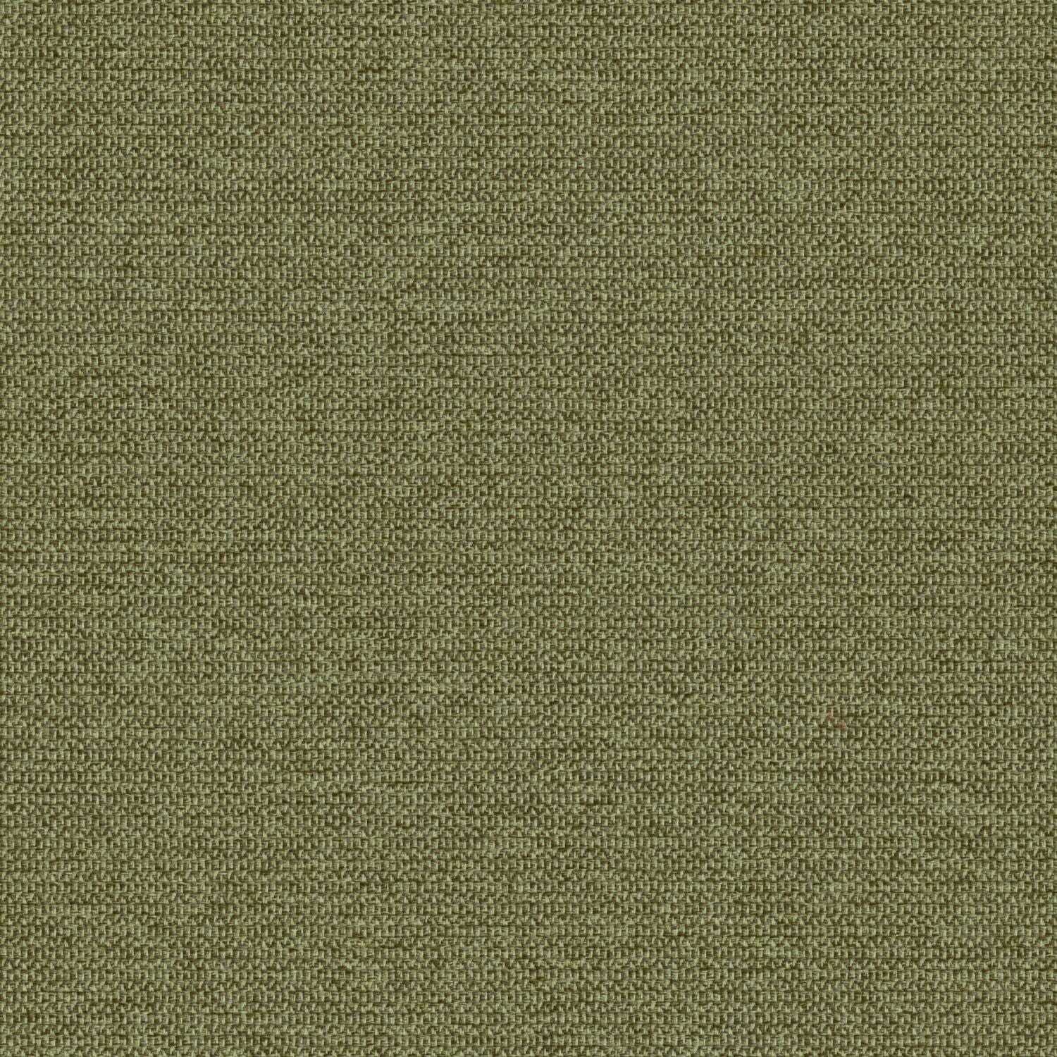 Zippy - Grasshopper - 2014 - 05 - Half Yard