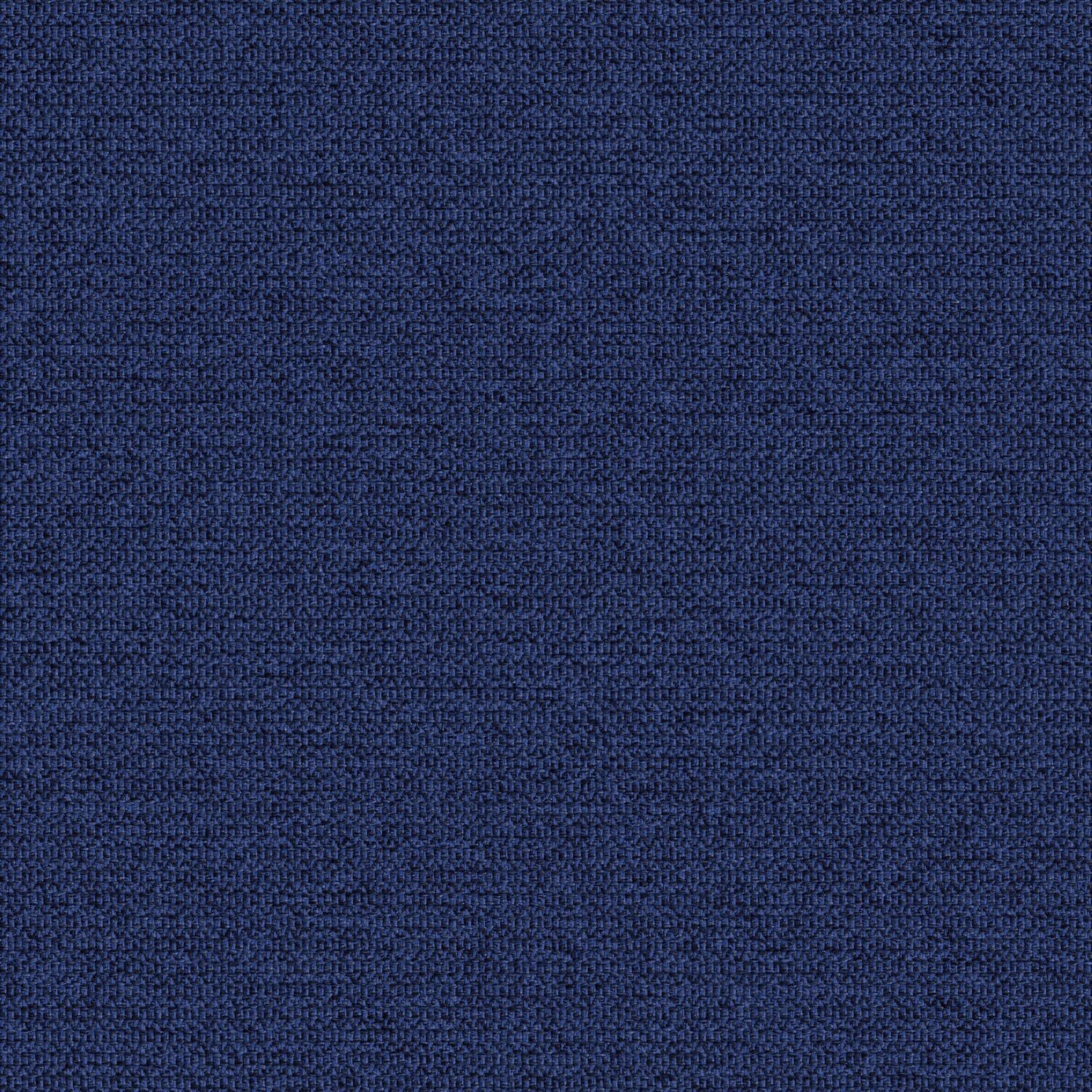 Zippy - Blue Note - 2014 - 12 - Half Yard