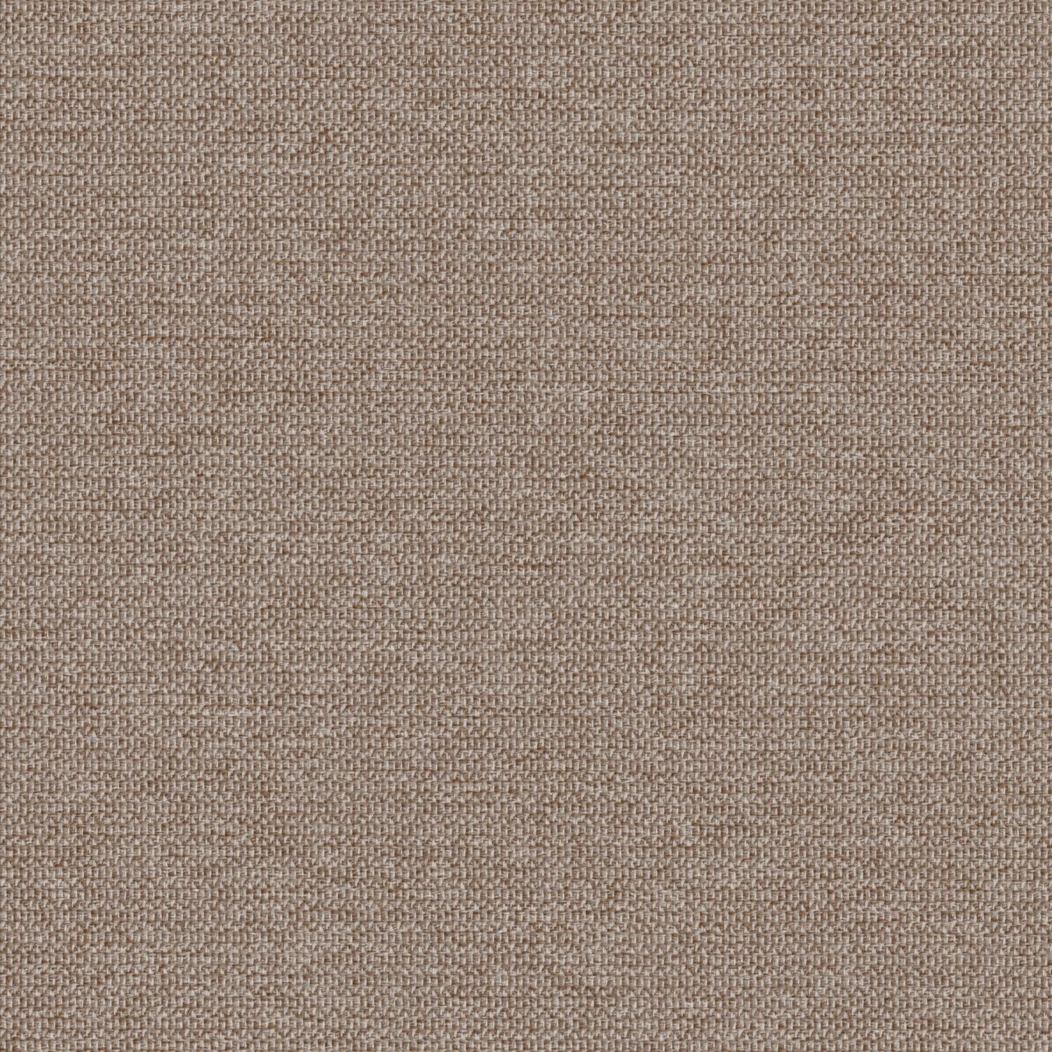Zippy - Biscuit - 2014 - 15 - Half Yard