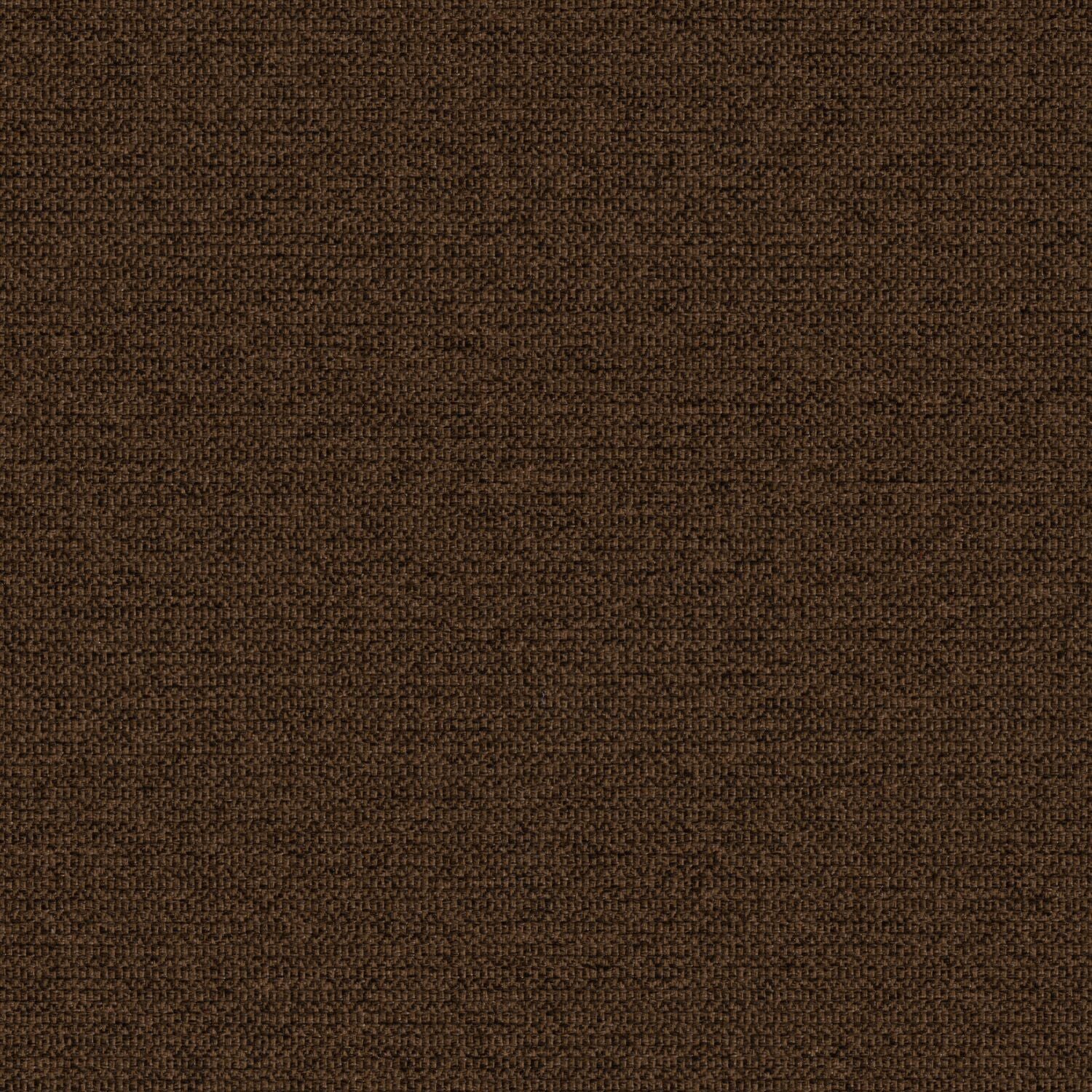 Zippy - Walnut - 2014 - 18