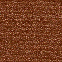 Roam - Safari - 4155 - 02