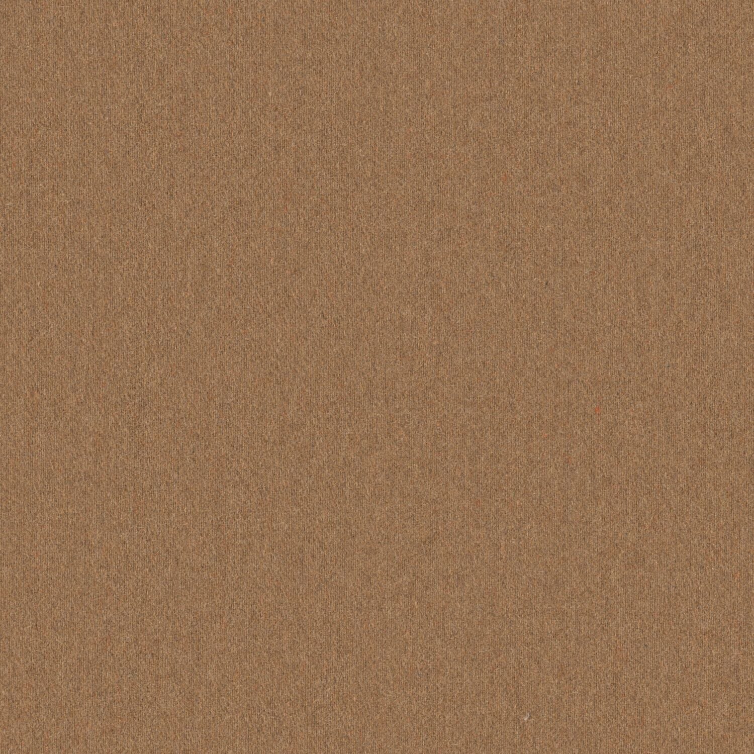 Stability - Fauna - 2010 - 04 - Half Yard