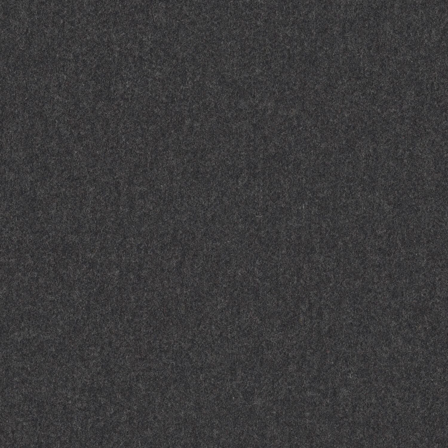 Stability - Coal - 2010 - 06 - Half Yard