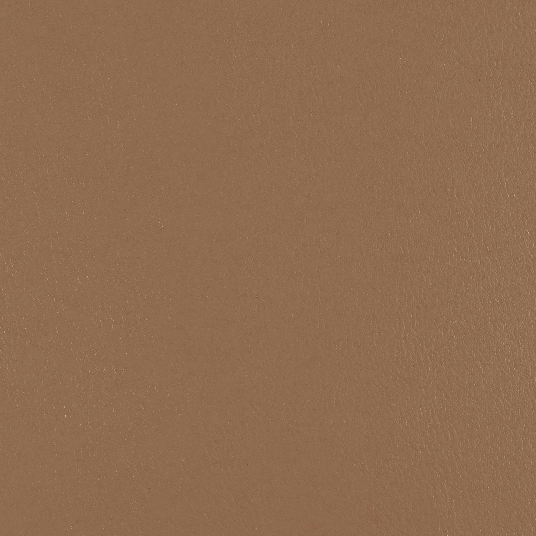 Fine Grain - Warm Earth - 4046 - 01 - Half Yard