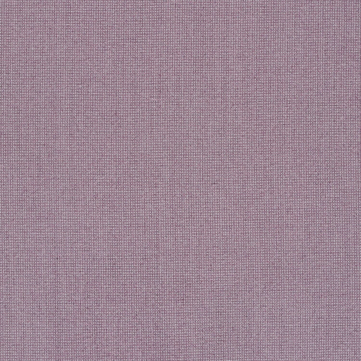 Elastic Wool - Lovelace - 4067 - 10